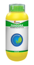 Pandora Herbicide