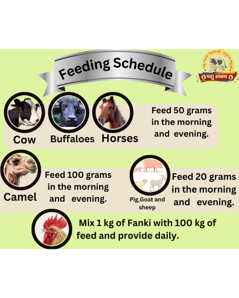 PASHU SVASTH Fanki for Healthy Tummies Feed Supplements