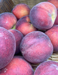 Peaches - Larchmont Farms
