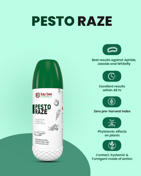Pesto Raze (Bio Pesticide) – For Effective Control of Aphids, Whiteflies & Hoppers