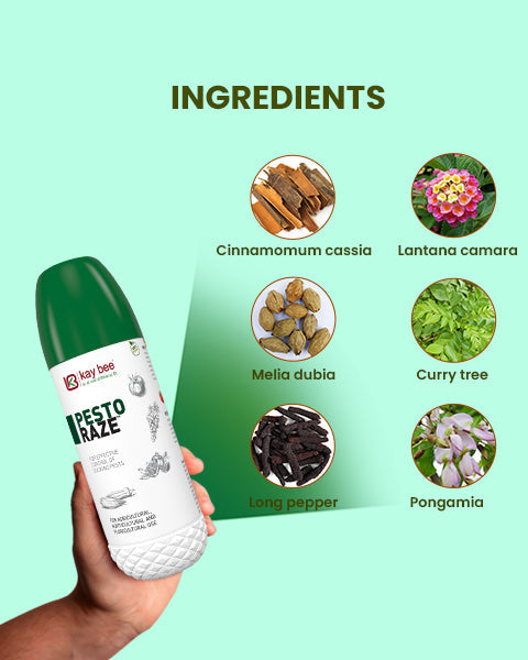 Pesto Raze (Bio Pesticide) – For Effective Control of Aphids, Whiteflies & Hoppers