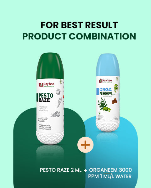 Pesto Raze (Bio Pesticide) – For Effective Control of Aphids, Whiteflies & Hoppers