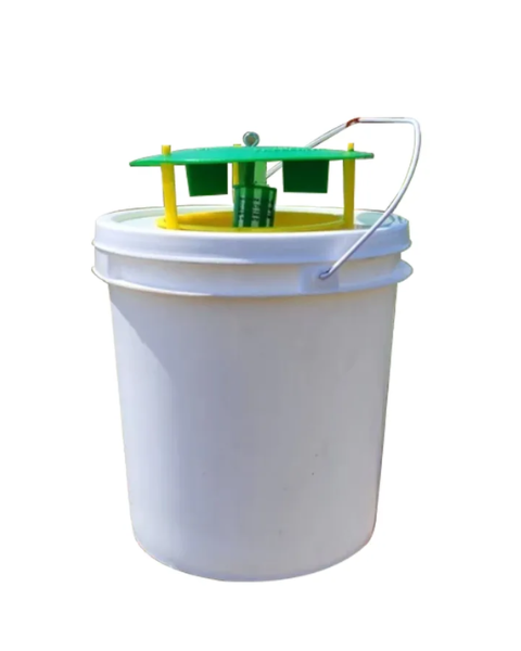 Pheromone Bucket traps with Rhynchophorus ferrugineus Lures (Red palm weevil) Pack of 4 Traps & Lures