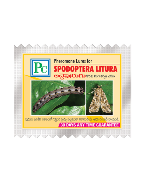 Pheromone Combo Pack for Cotton Crop Replacement Lures Traps & Lures
