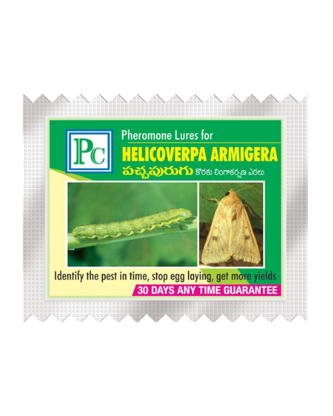Pheromone Combo pack of Pheromone traps & Lures  for (Chana, Chickpea ) 16 Pack