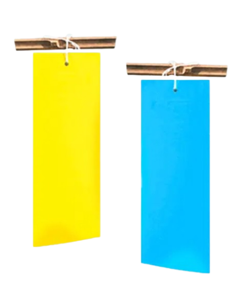 Pheromone Combo Pack of Yellow and Blue Sticky Traps (11*28cm) Traps & Lures