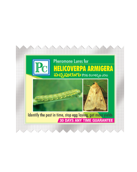 Pheromone Combo Pack Replacement for CHILLIES AND CAPSICUM Traps & Lures