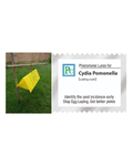 Pheromone Delta Trap and lure complete set for Cydia pomonella (Codling moth) - 10pack