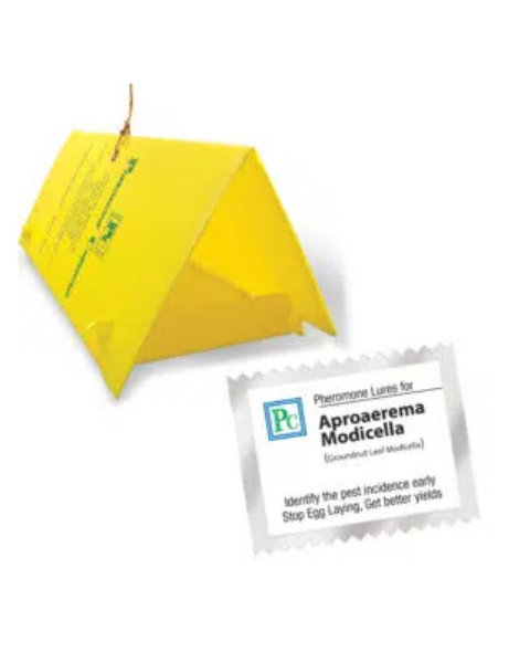 Pheromone Delta Trap with Aproaerema modicella Lure (Groundnut leafminer) - 10Pack