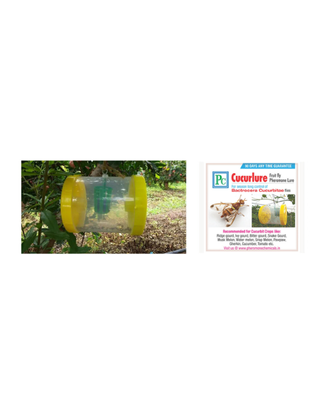 Pheromone Fruit fly trap and Cucurlure complete set Traps & Lures