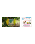 Pheromone Fruit fly trap and Cucurlure complete set Traps & Lures