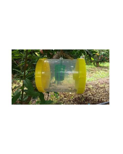Pheromone Fruit fly trap and Cucurlure complete set Traps & Lures