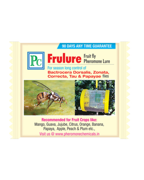 Pheromone Fruit Fly Trap Combo Pack for Cucurbits and Creepers