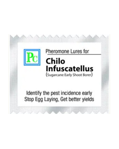 Pheromone Pheromone Traps with Chilo infuscatellus Lures (Sugar cane early shoot borer) 8 pack Traps & Lures