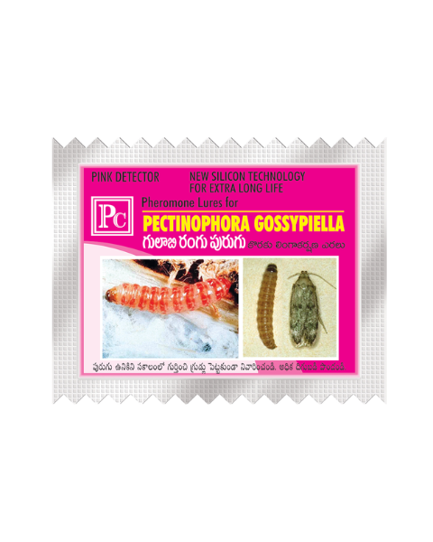 Pheromone Replacement lure for cotton pink boll worm (Pectinophera gossypilla) Traps & Lures