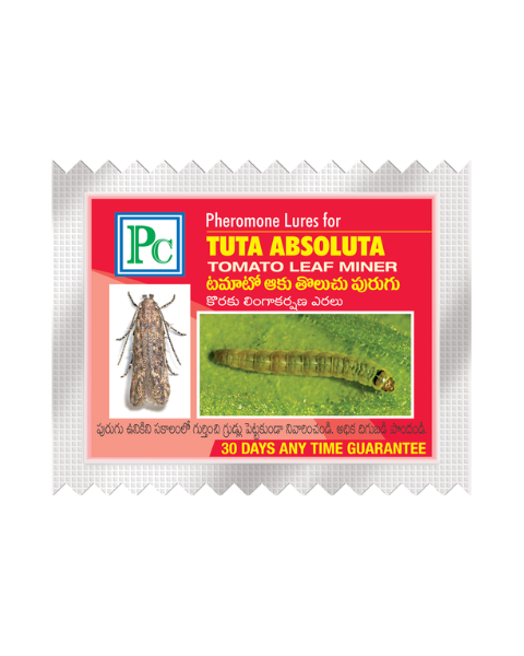 Pheromone Replacement lure for Tuta absoluta (Tomato leaf miner) Traps & Lures