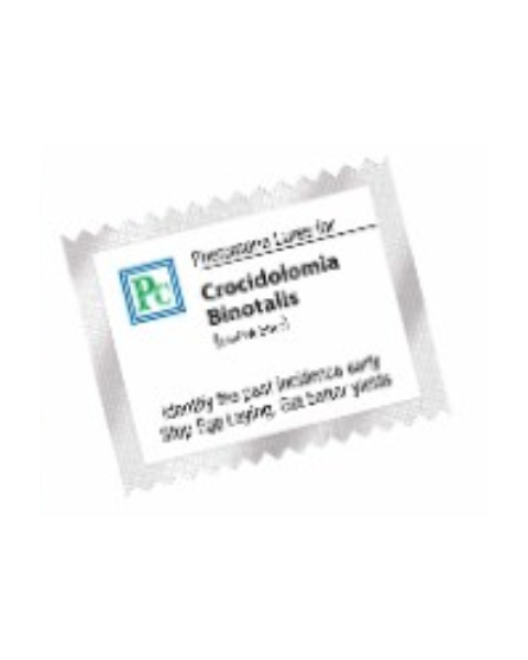 Pheromone Replacement lures for Combo Pack for ( Cabbage / Cauliflower / Mustard ) 24 Pack