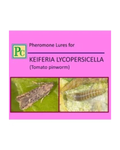 Pheromone Replacement lures for Keiferia lycopersicella (Tomato Pinworm) - 10pack