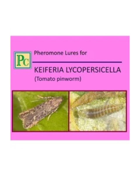 Pheromone Replacement lures for Keiferia lycopersicella (Tomato Pinworm) - 10pack