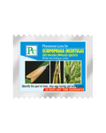 Pheromone Replacement Lures for Scriphophaga incertulas (Paddy Stem borer) Traps & Lures