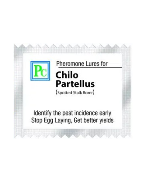 Pheromone trap with Chilo partellus Lure( Spotted stalk Borer ) - 10Pack