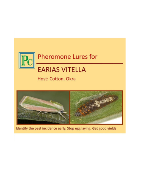 Pheromone trap with Earias vitella Lure(Spotted bollworm) - 10pack