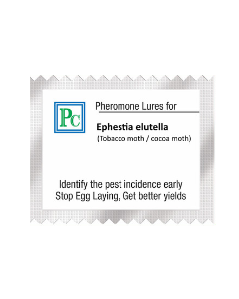 Pheromone trap with Ephestia elutella Lure (Warehouse moth / Tobacco moth) - 10pack