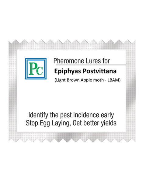 Pheromone trap with EPIPHYAS POSTVITTANA Lure(Light Brown Apple Moth – LBAM) - 10pack