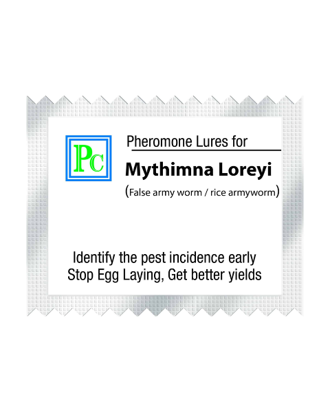 Pheromone trap with Mythimna loreyi Lure (False armyworm) - 10pack
