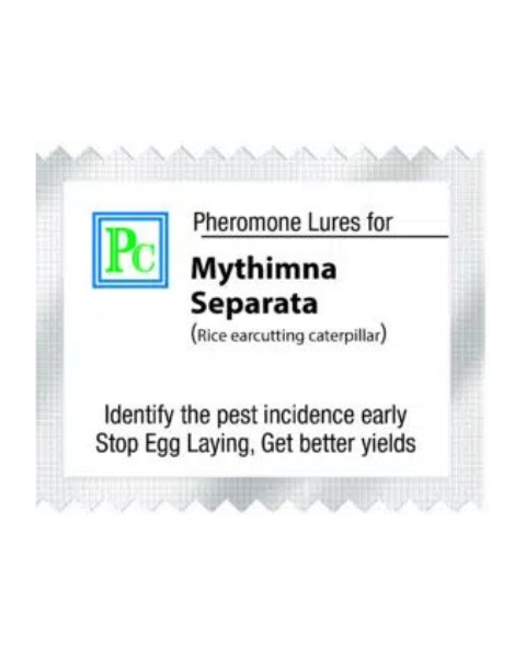 Pheromone trap with Mythimna separata Lure (Rice ear cutting caterpillar) - 10Pack