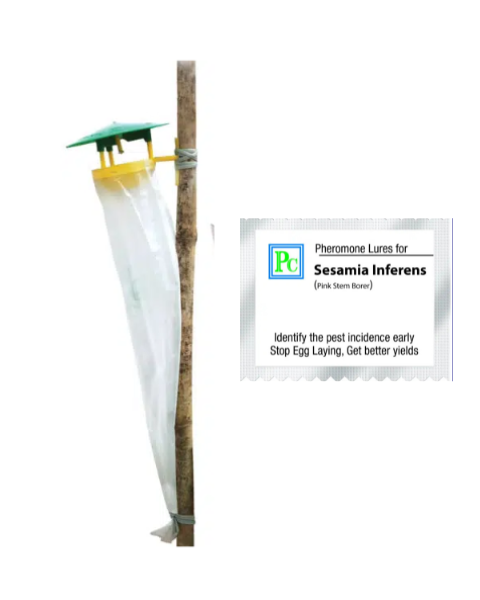 Pheromone trap with Sesamia inferens Lure (Maize pink stem borer) - 10pack