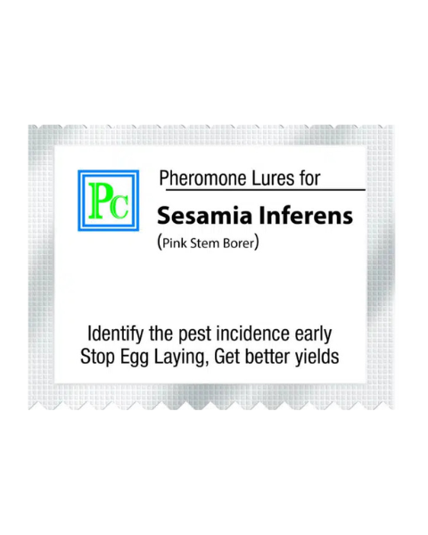 Pheromone trap with Sesamia inferens Lure (Maize pink stem borer) - 10pack