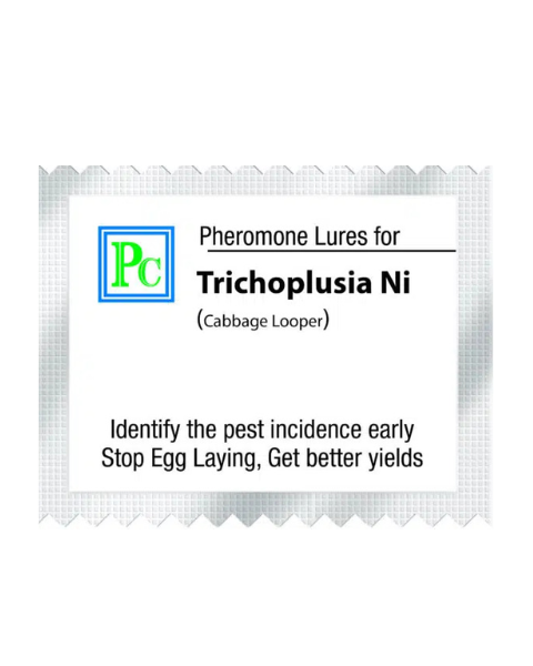 Pheromone trap with Trichoplusia ni Lure (The cabbage looper) - 10pack