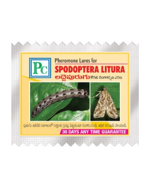 Pheromone traps & Lures Combo Pack for (Cabbage / Cauliflower / Mustard)  24 Pack