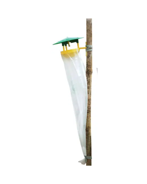 Pheromone Traps with Agrotis ipsilon Lures( Black cut worm ) - 8 Pack