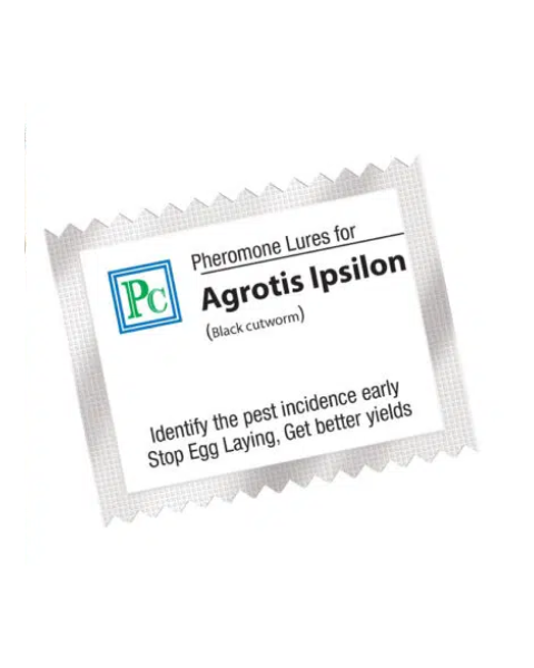Pheromone Traps with Agrotis ipsilon Lures( Black cut worm ) - 8 Pack