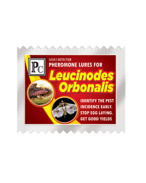 Pheromone Water trap with leucinodes orbanalis Lure ( Brinjal fruit and shoot borer ) - 10pack