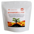 Pioneer Agro Azospirillum bio-fertilizer 1 kg resealable pouch featuring a plant graphic on a white background.