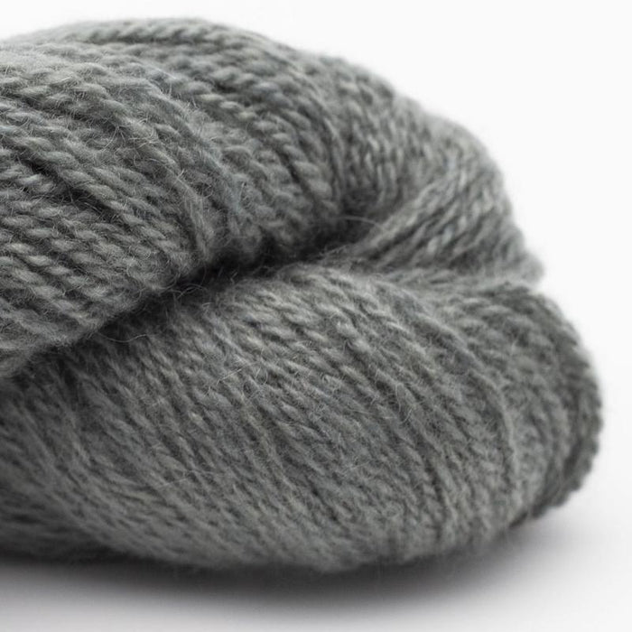 22584 - Reed