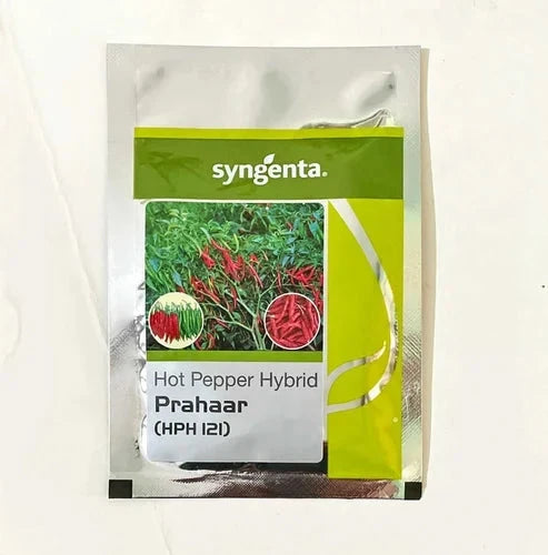 PRAHAAR (HPH 121) CHILLI SEEDS