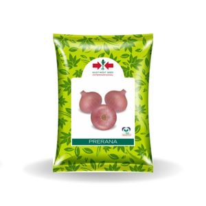 PRERANA ONION SEEDS