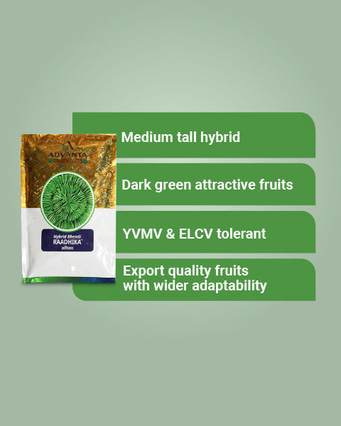 Image showing characteristics of Radhika Hybrid Bhindi Seeds.