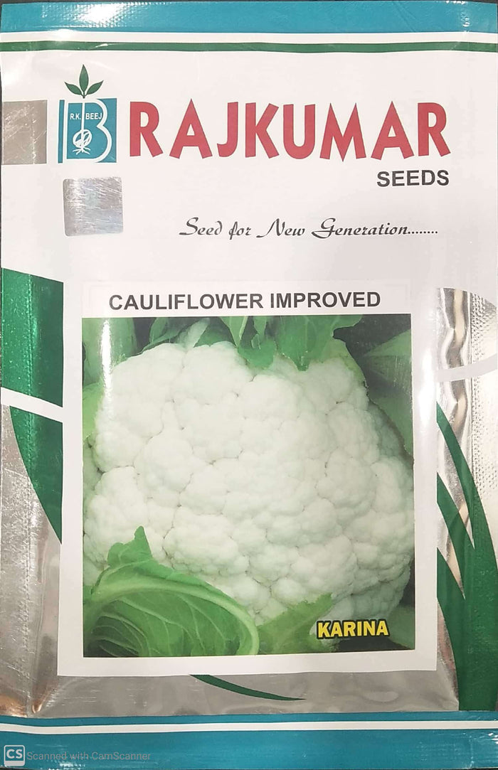 RAJKUMAR CAULIFLOWER KARINA IMPROVED SEEDS
