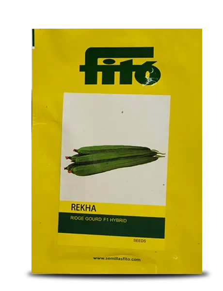 REKHA RIDGEGOURD