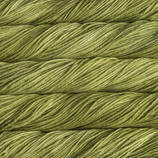 037 - Lettuce
