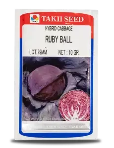 RUBY BALL CABBAGE F1