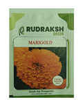Rudraksh F1 Rudra Orange Ball Marigold- Tall Plant, Orange flowers