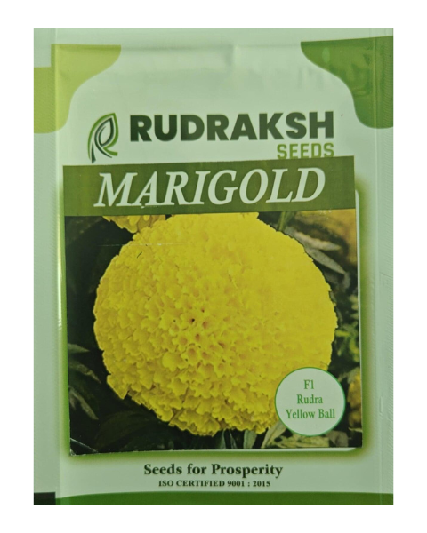 Rudraksh F1 Rudra Yellow Ball Marigold- Tall Plant, Vibrant Yellow Flowers
