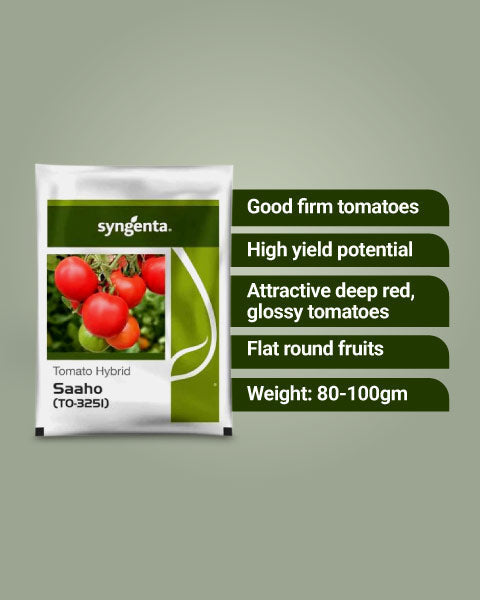 Image showing benefits of Syngenta Saaho TO 3251 Tomato Seeds with net weight of the packet