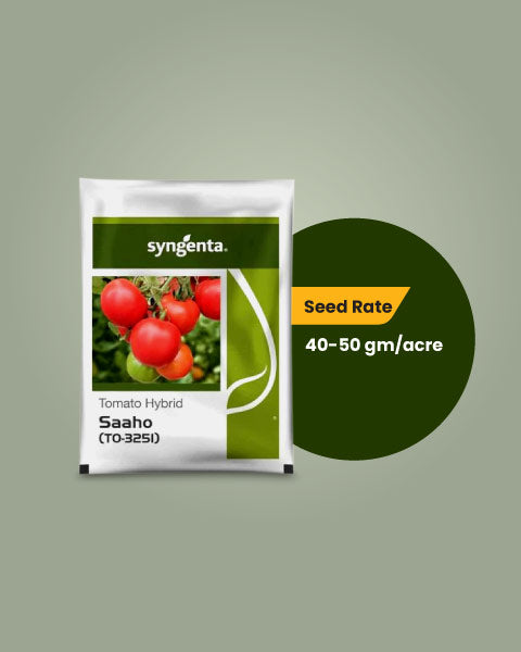 Image showing seed rate of saaho TO3251 tomato seeds for 1 acre land